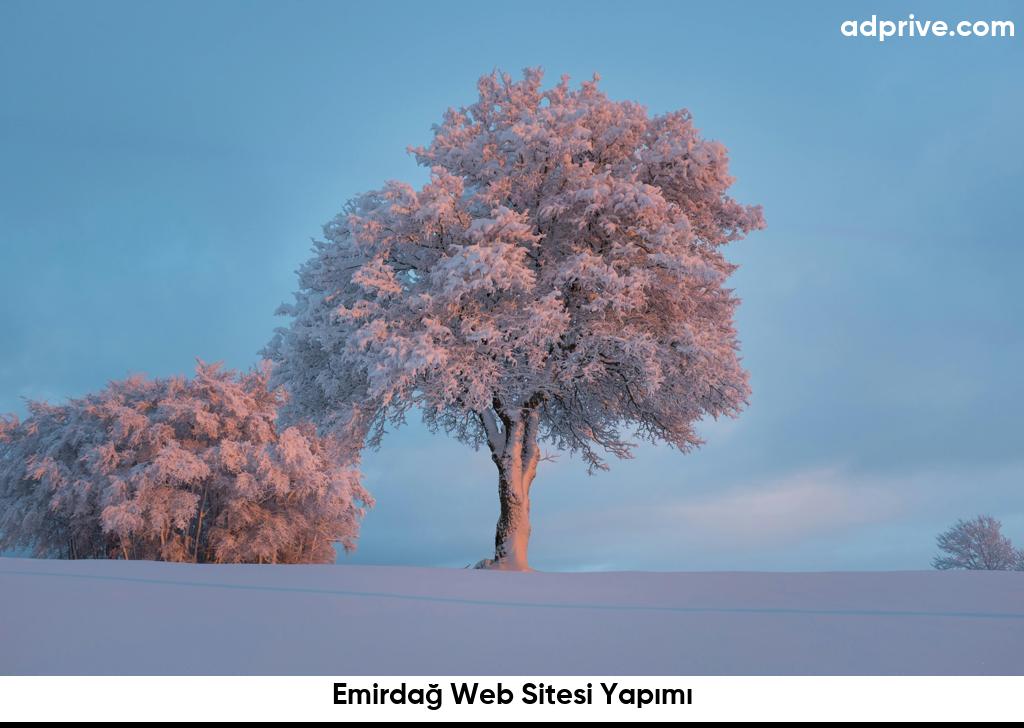 Emirdag Web Sitesi Yapimi6