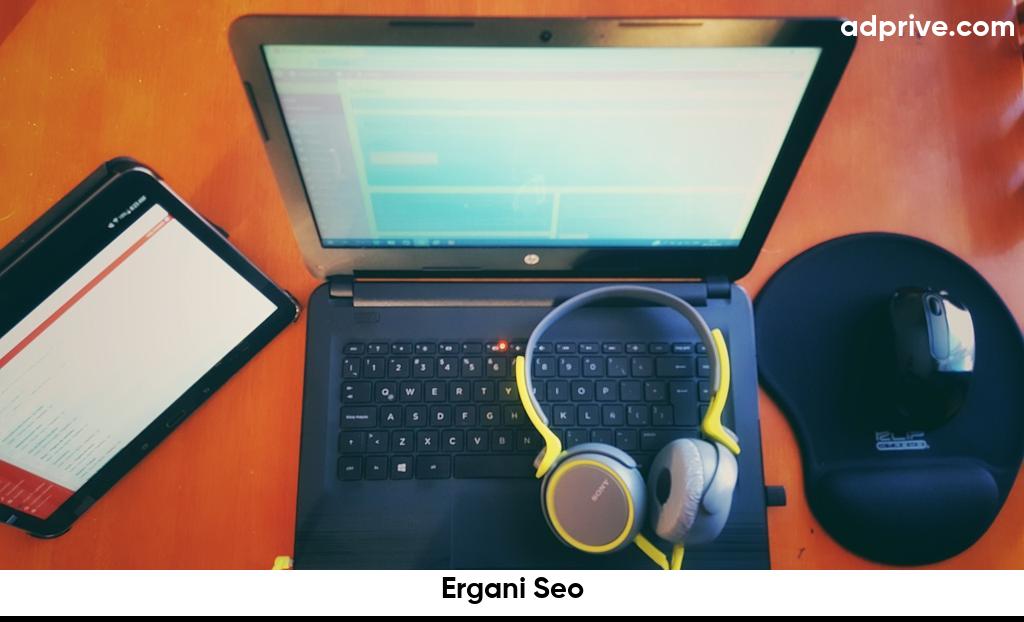 Ergani Seo6