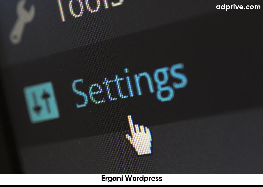 Ergani Wordpress6