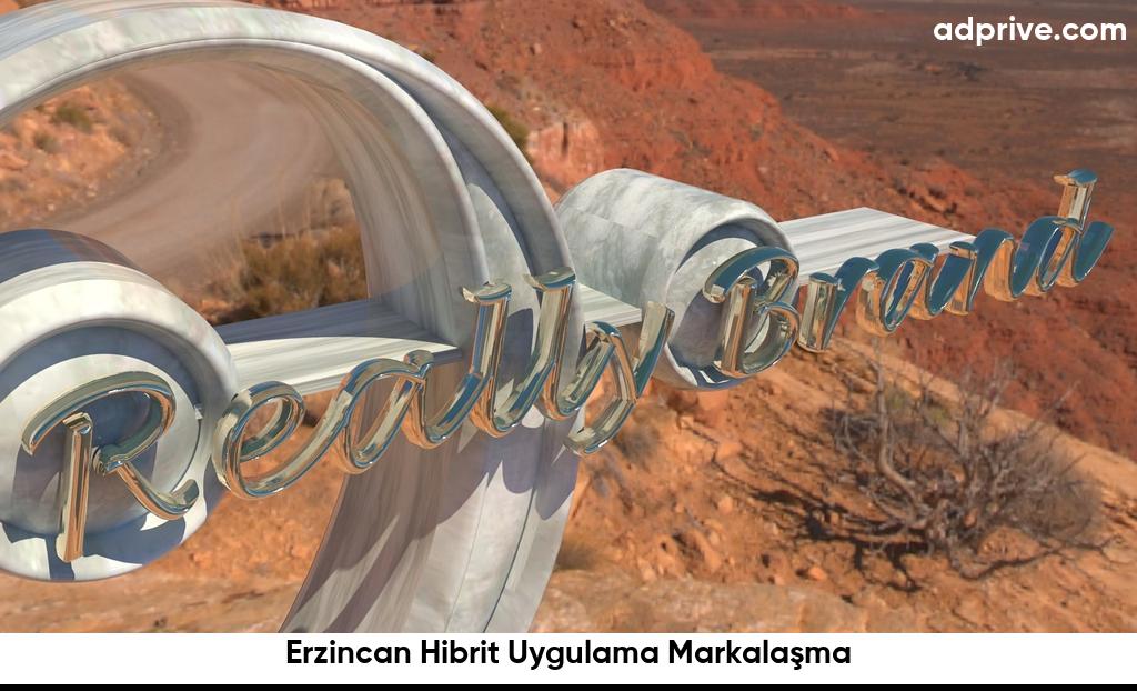 Erzincan Hibrit Uygulama Markalasma6