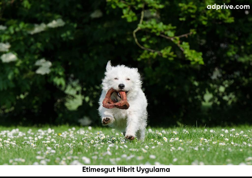 Etimesgut Hibrit Uygulama6