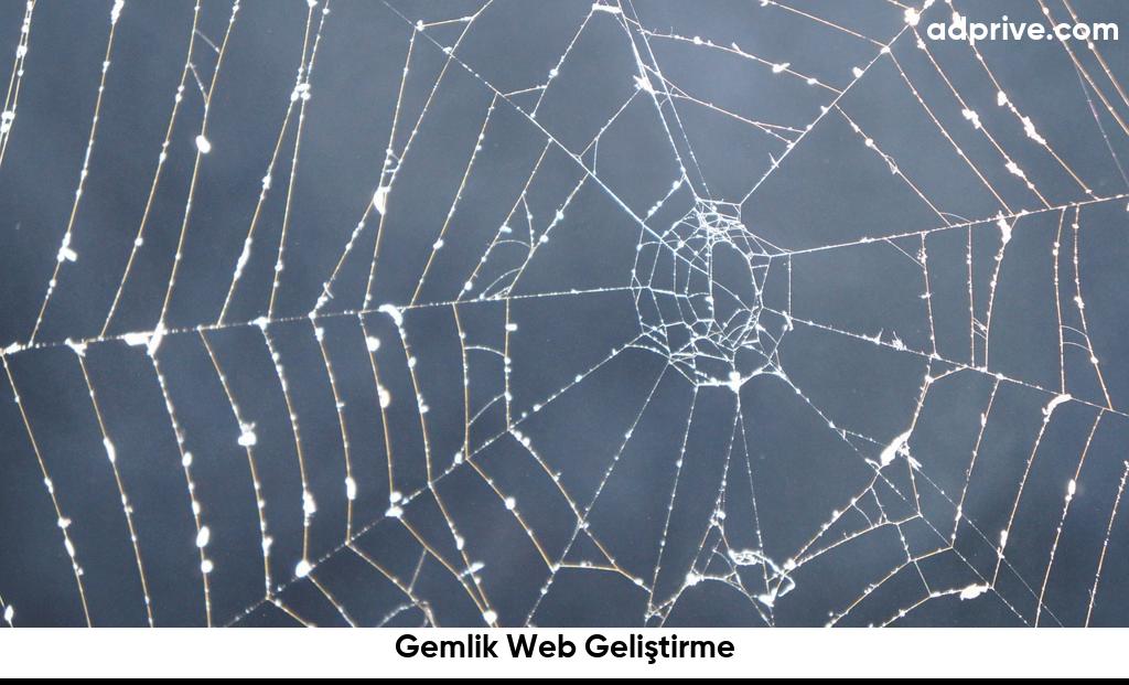 Gemlik Web Geliştirme6