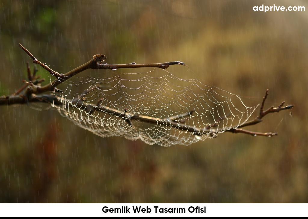 Gemlik Web Tasarım Ofisi6