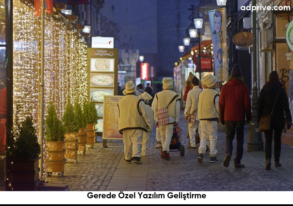 Gerede Özel Yazılım Geliştirme6