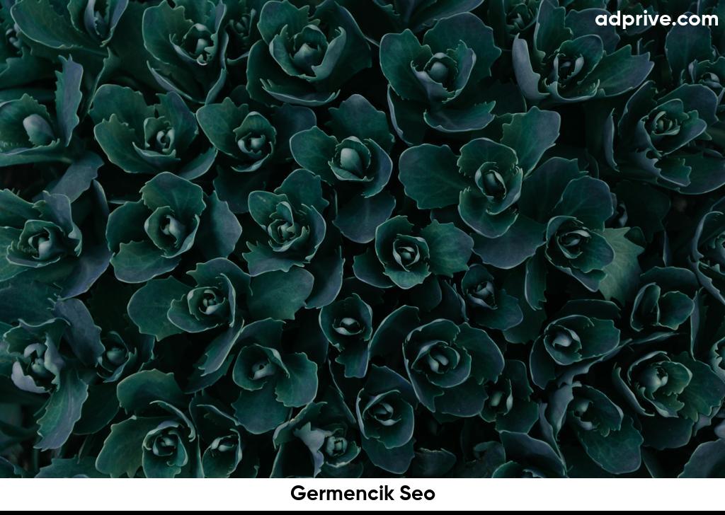 Germencik Seo6