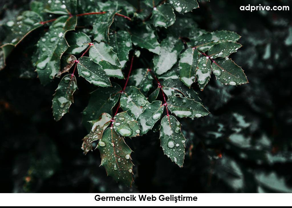 Germencik Web Geliştirme6