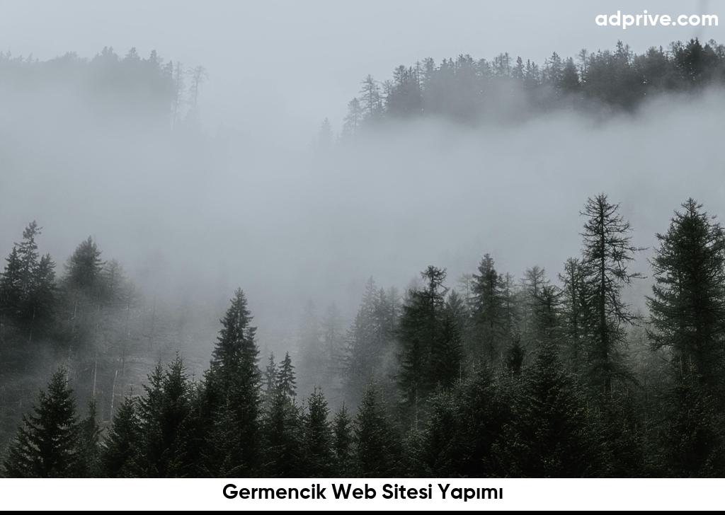 Germencik Web Sitesi Yapımı6