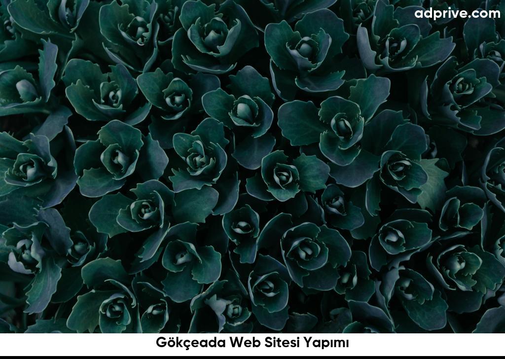 Gökçeada Web Sitesi Yapımı6