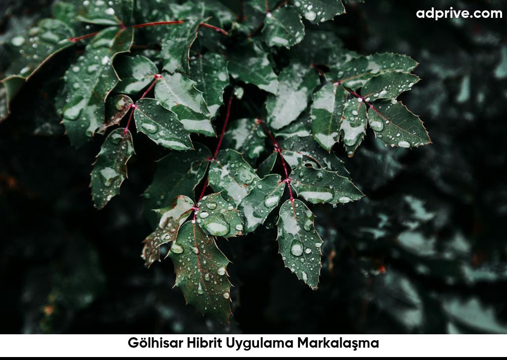 Gölhisar Hibrit Uygulama Markalaşma6