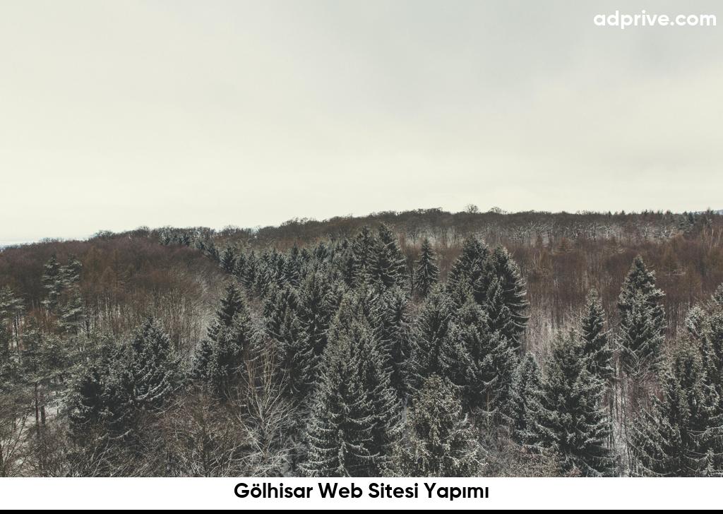 Gölhisar Web Sitesi Yapımı6