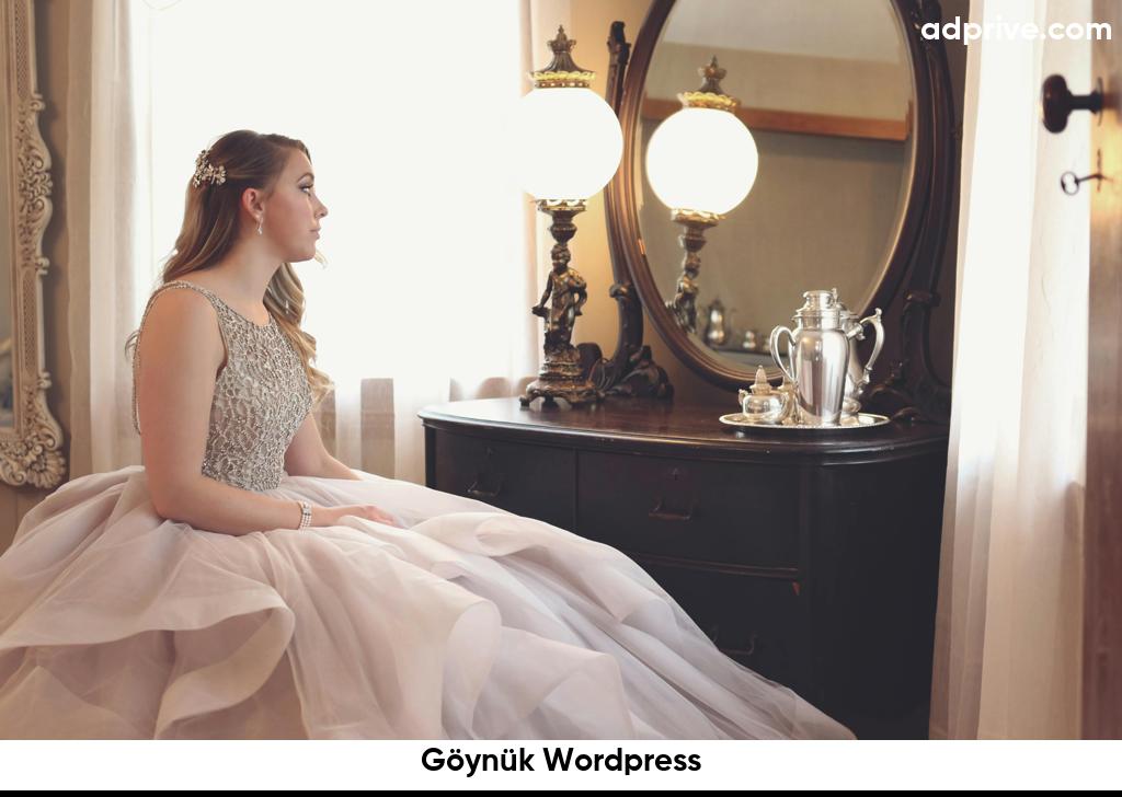 Göynük Wordpress6