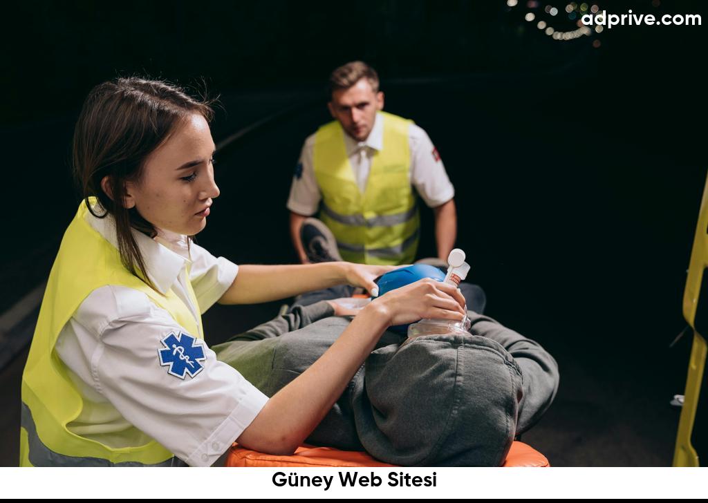 Güney Web Sitesi6