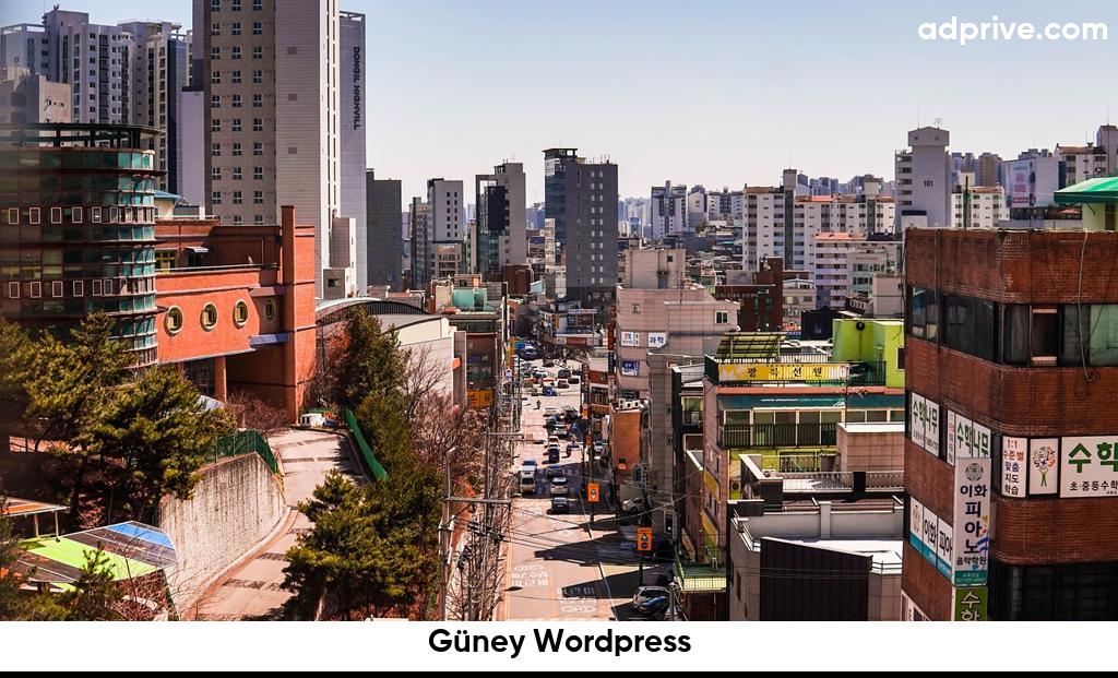 Güney Wordpress6