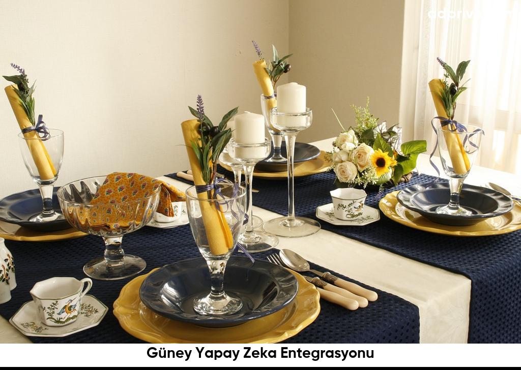 Güney Yapay Zeka Entegrasyonu6