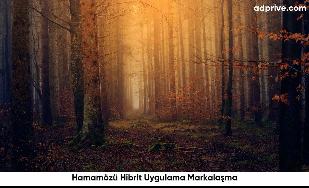 Hamamözü Hibrit Uygulama Markalaşma6