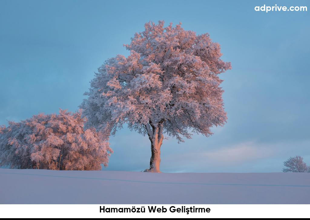 Hamamözü Web Geliştirme6