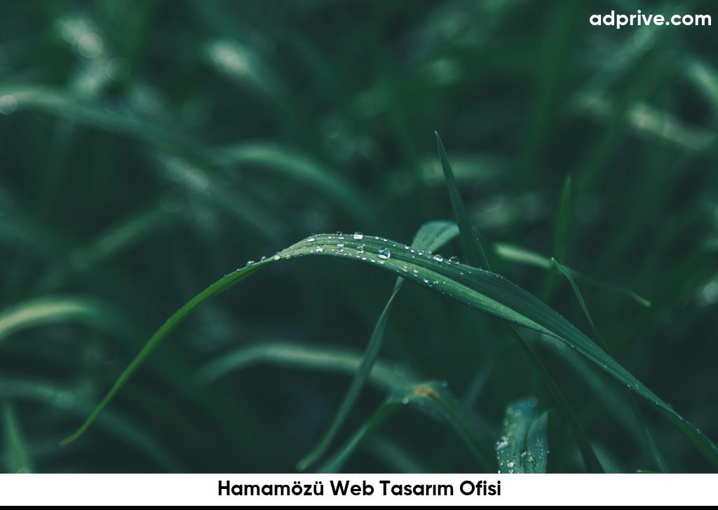 Hamamözü Web Tasarım Ofisi6