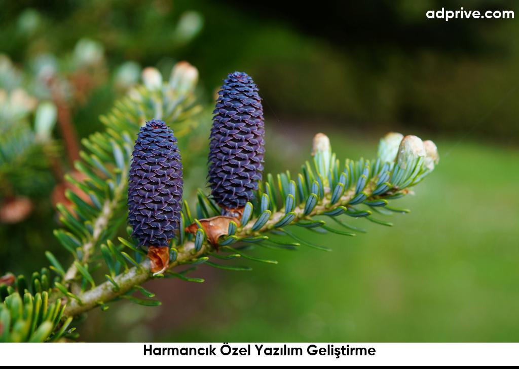 Harmancık Özel Yazılım Geliştirme6