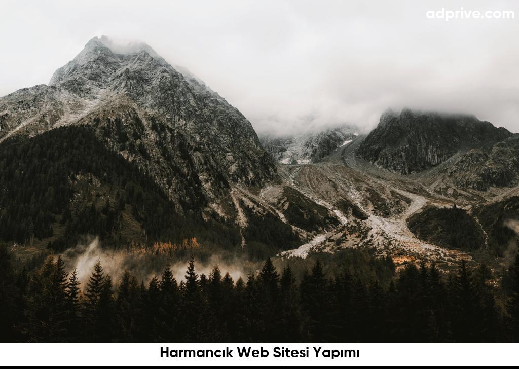 Harmancık Web Sitesi Yapımı6