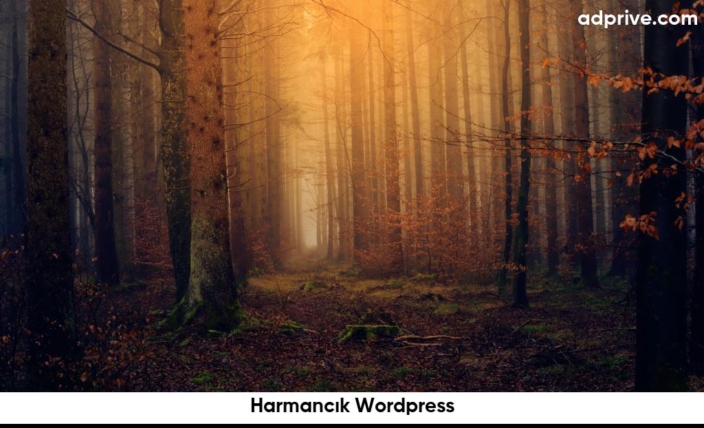 Harmancık Wordpress6