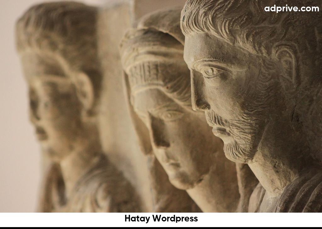 Hatay Wordpress6