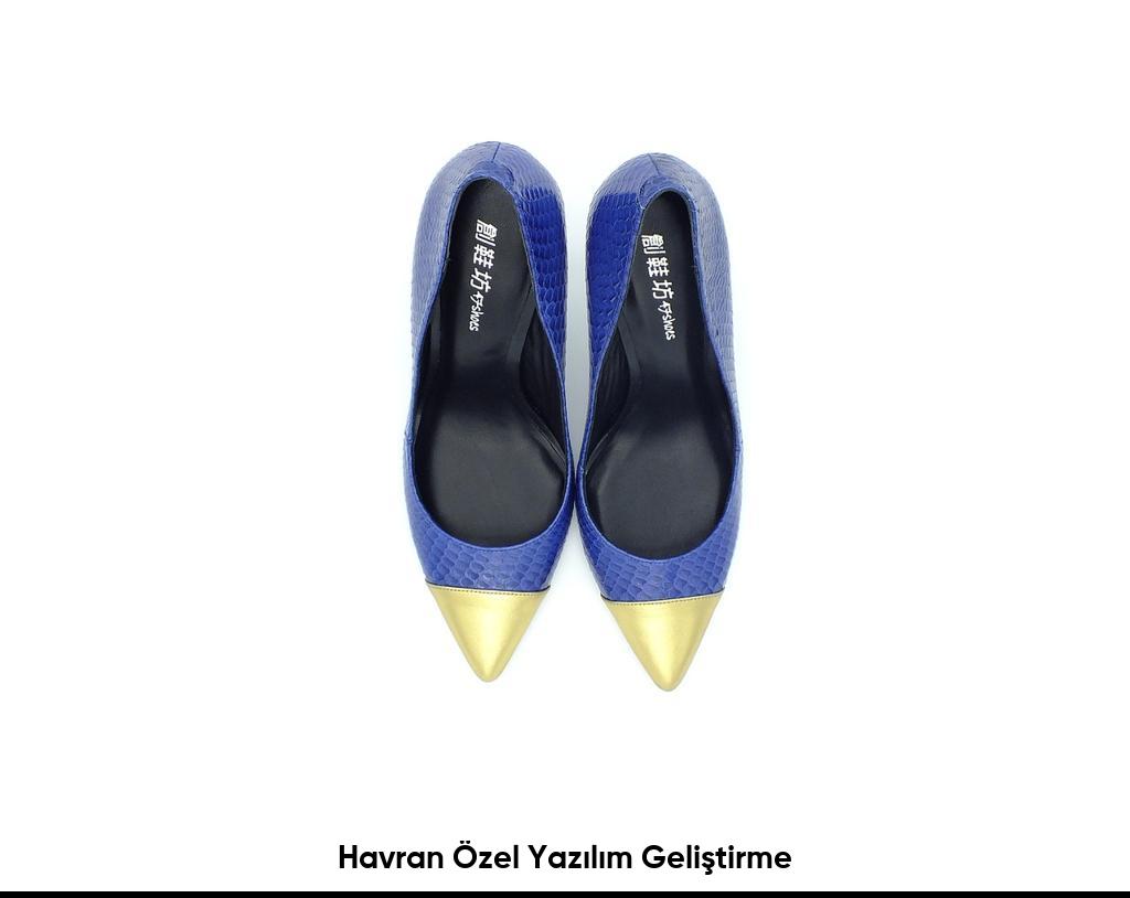 Havran Özel Yazılım Geliştirme6