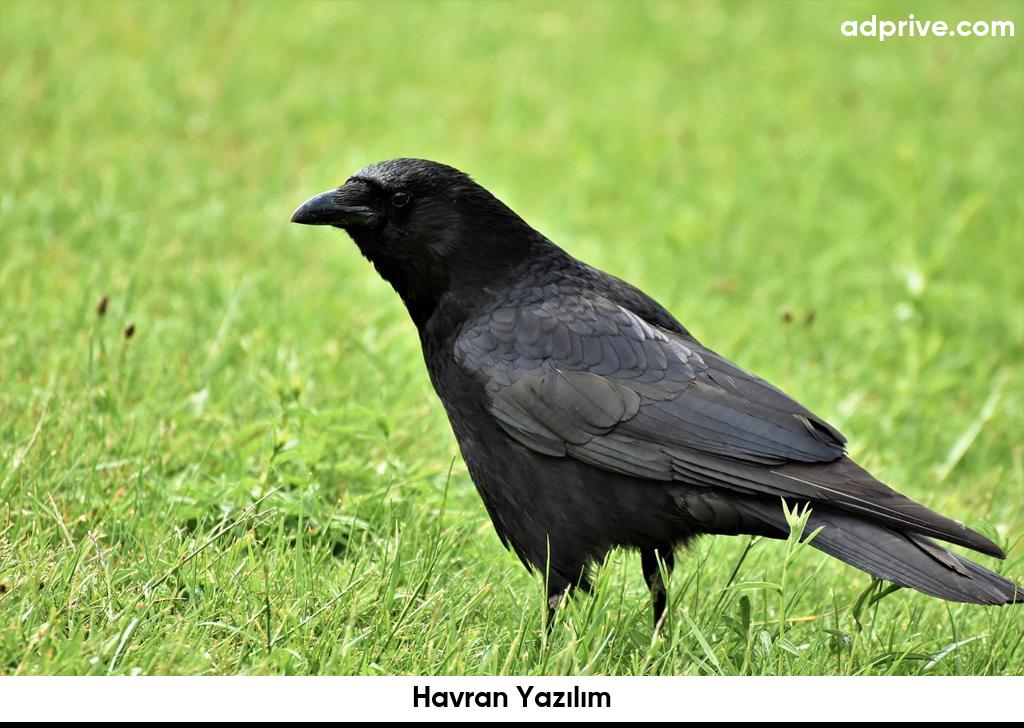 Havran Yazılım6