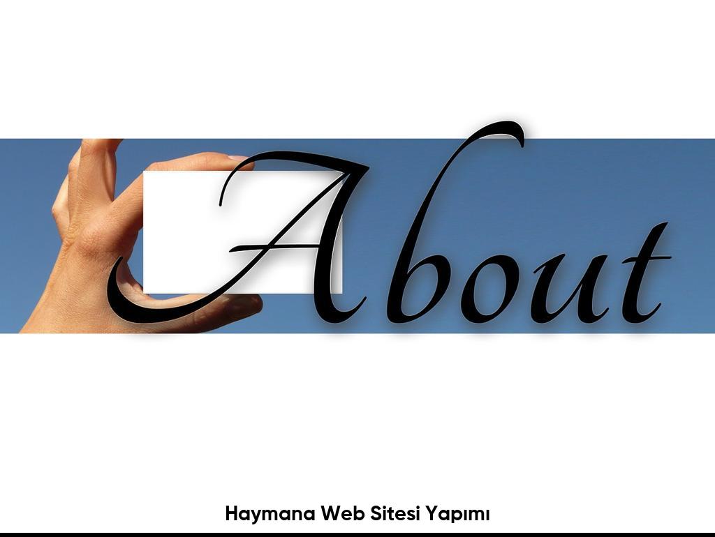 Haymana Web Sitesi Yapımı6