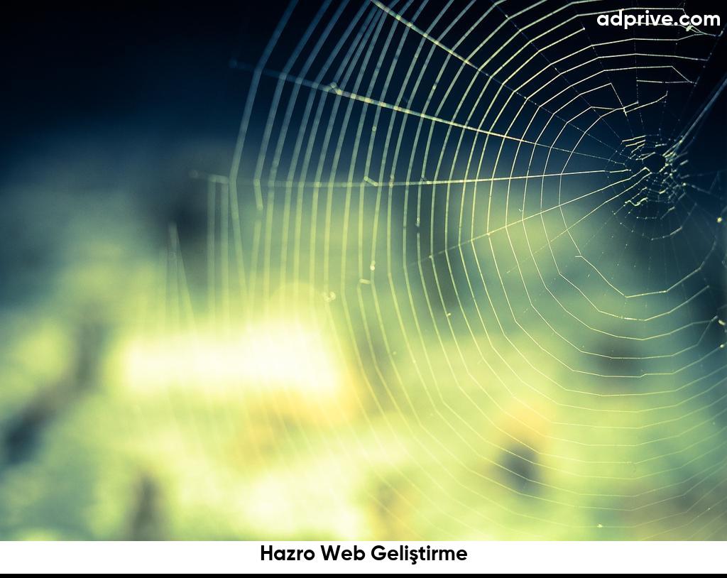 Hazro Web Geliştirme6