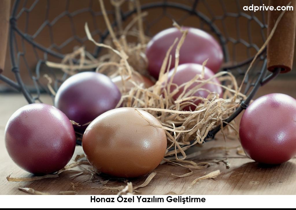 Honaz Özel Yazılım Geliştirme6