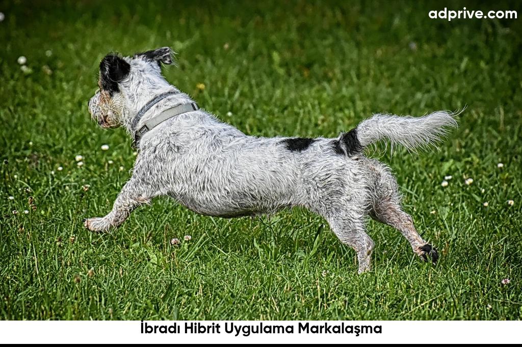 İbradı Hibrit Uygulama Markalaşma6