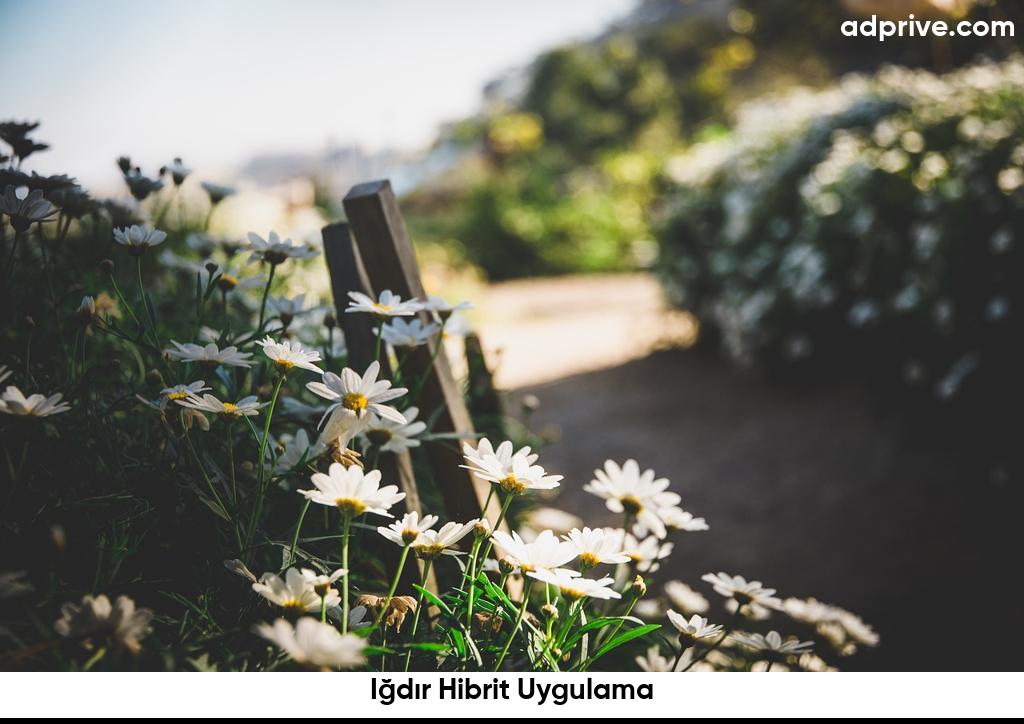 Igdir Hibrit Uygulama6