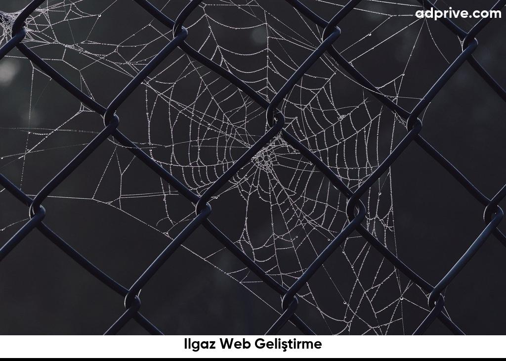 Ilgaz Web Geliştirme6