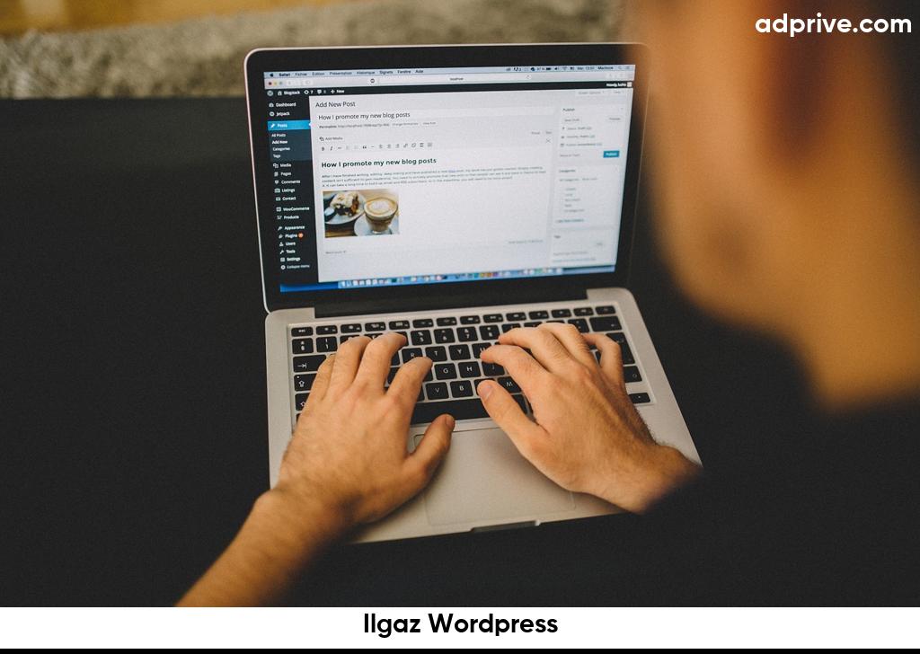 Ilgaz Wordpress6