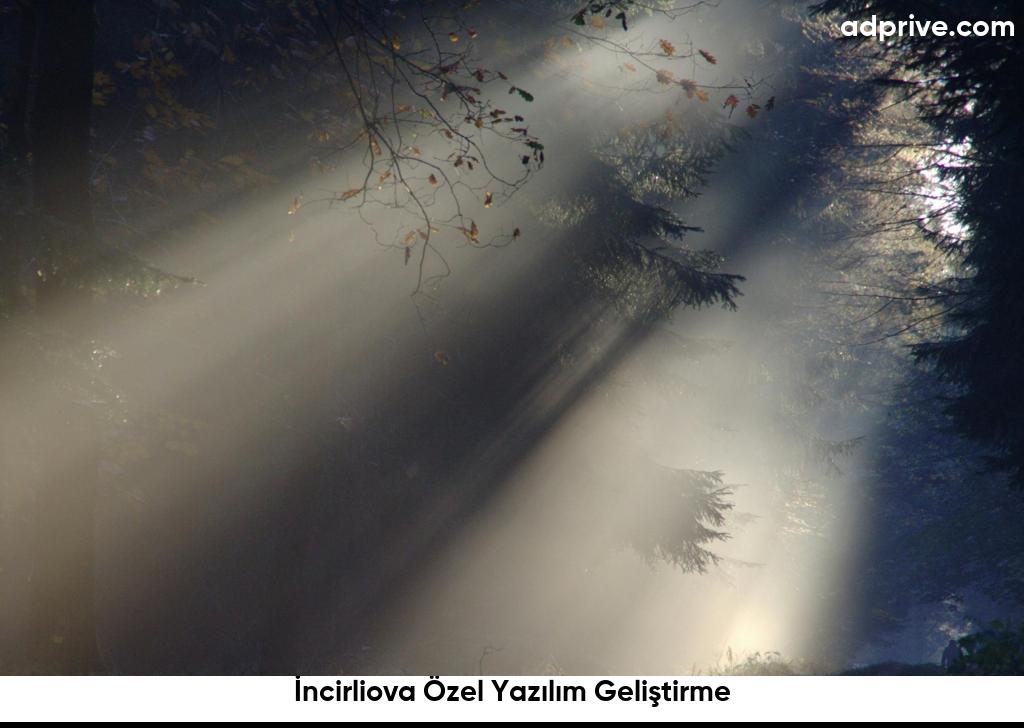 İncirliova Özel Yazılım Geliştirme6