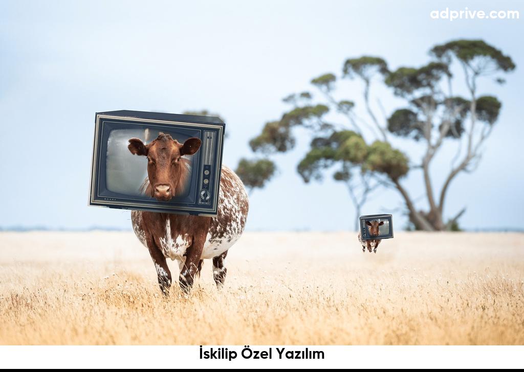 İskilip Özel Yazılım6