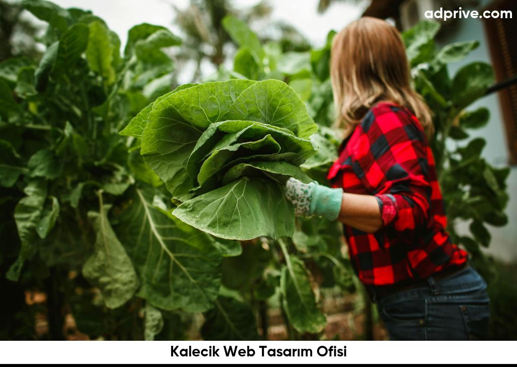 Kalecik Web Tasarım Ofisi6