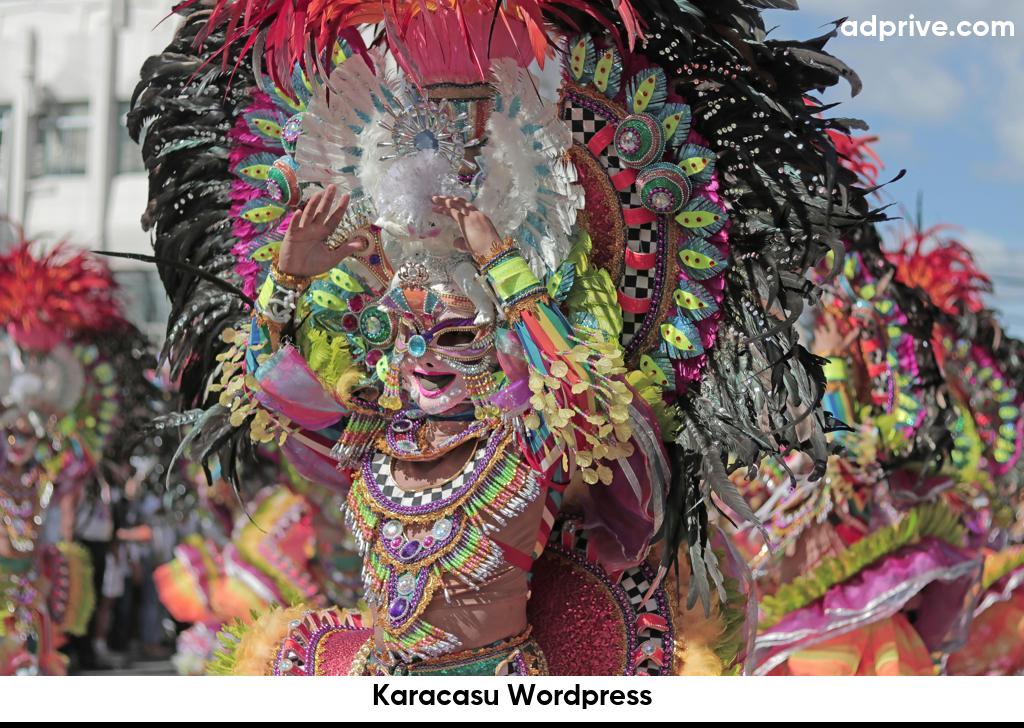 Karacasu Wordpress6