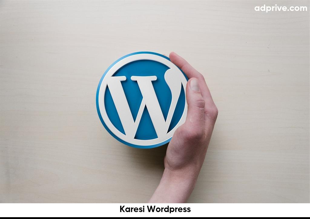 Karesi Wordpress6