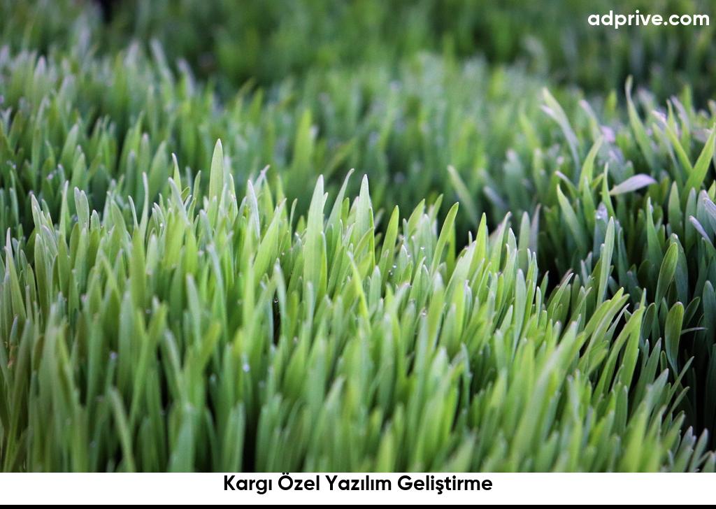 Kargı Özel Yazılım Geliştirme6