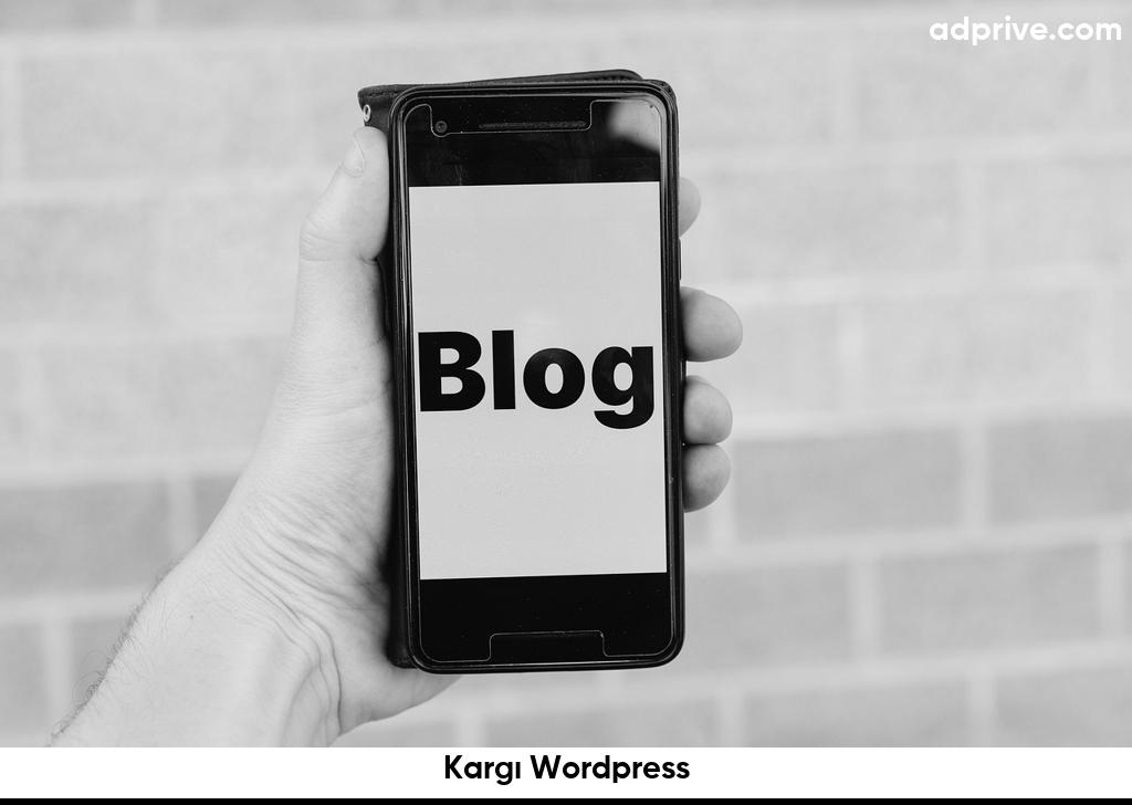 Kargı Wordpress6