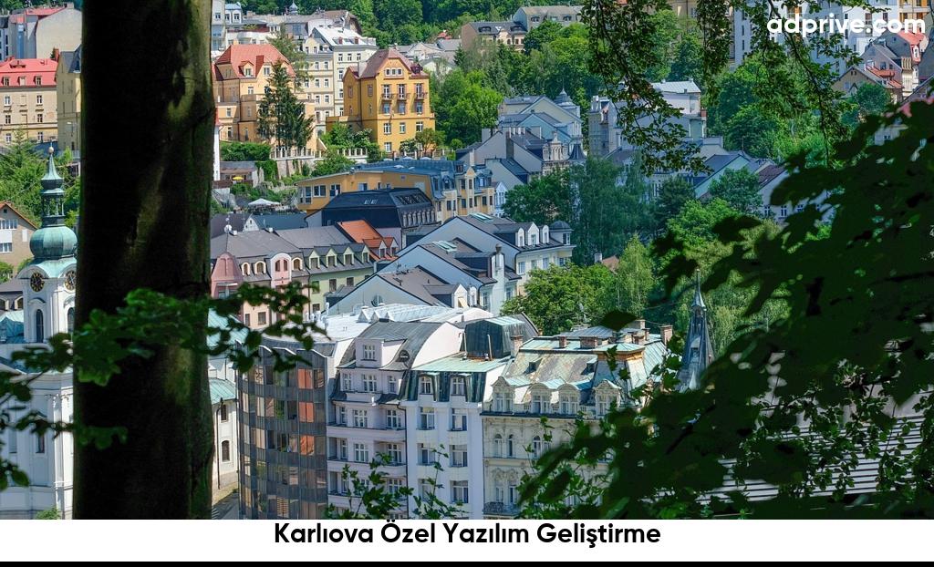 Karlıova Özel Yazılım Geliştirme6