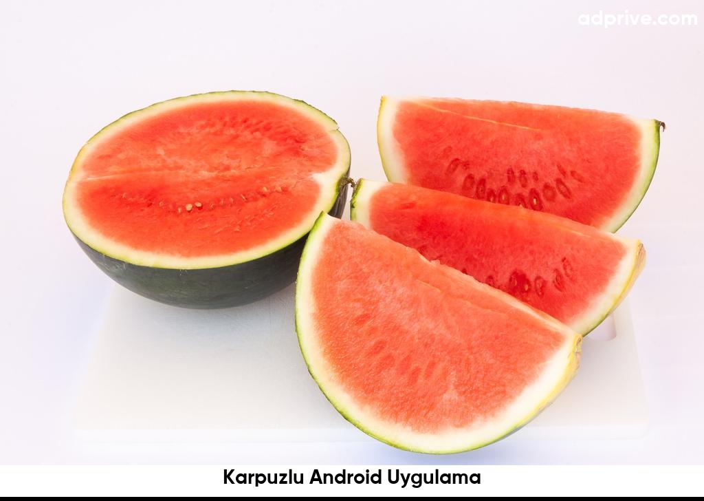 Karpuzlu Android Uygulama6