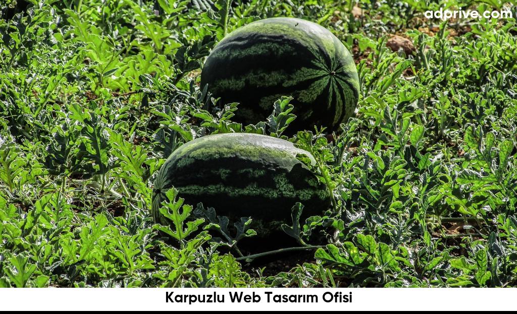 Karpuzlu Web Tasarım Ofisi6