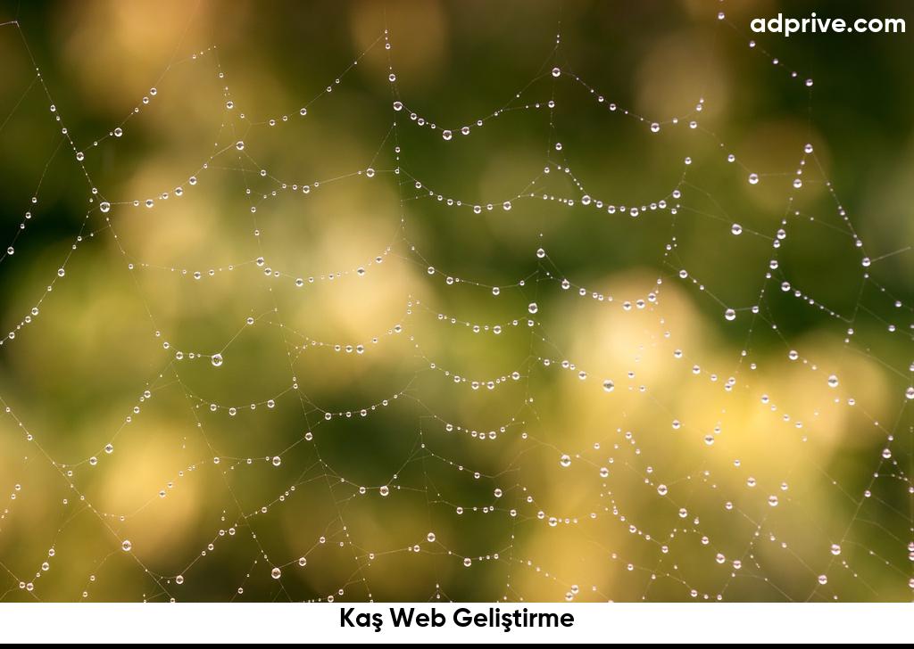 Kaş Web Geliştirme6