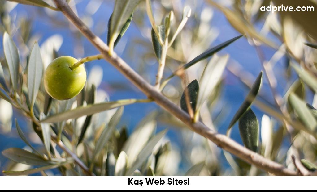 Kaş Web Sitesi6