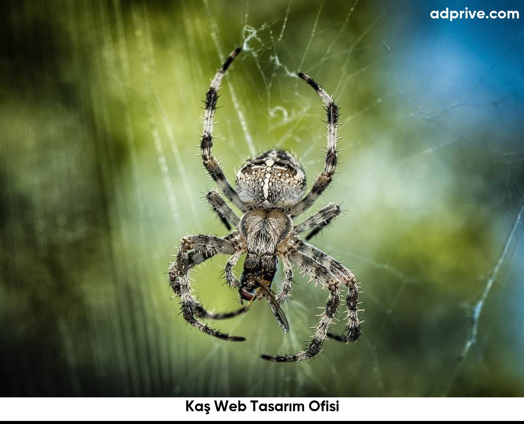 Kaş Web Tasarım Ofisi6