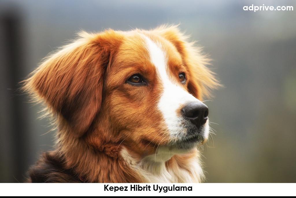 Kepez Hibrit Uygulama6