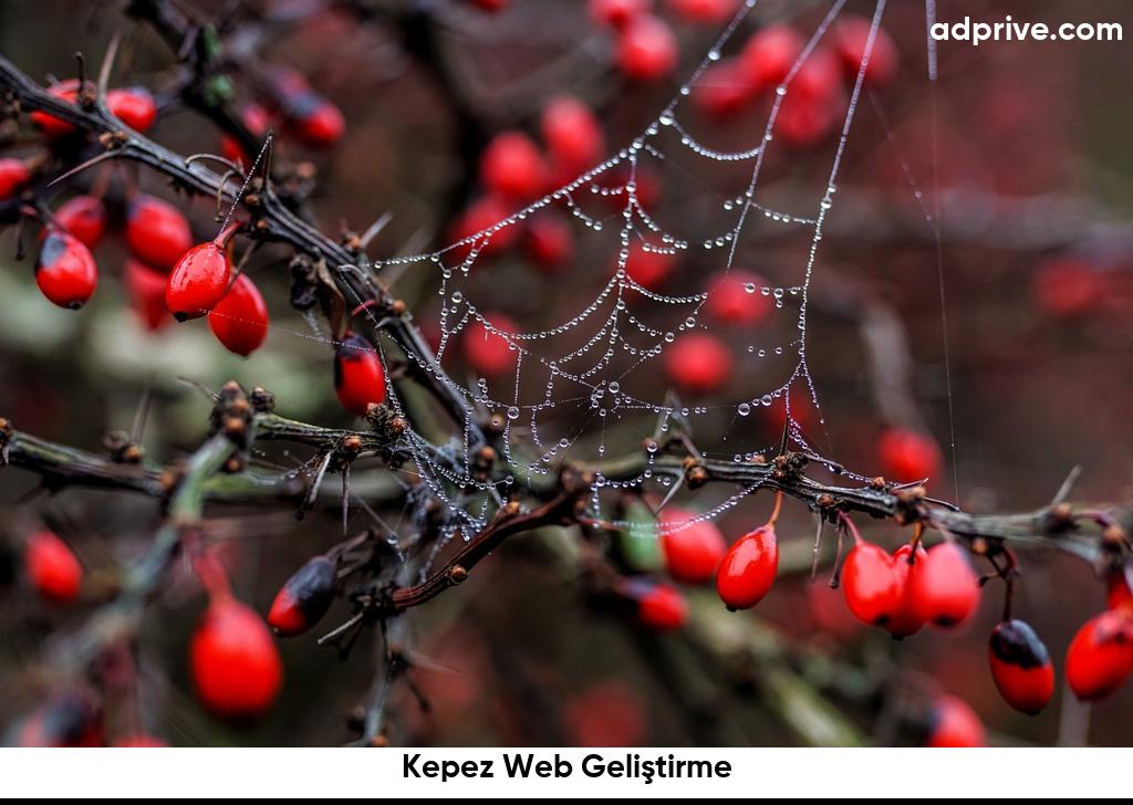 Kepez Web Geliştirme6