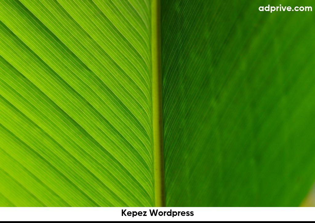 Kepez Wordpress6